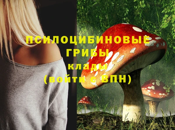 стаф Белоозёрский