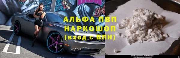 стаф Белоозёрский